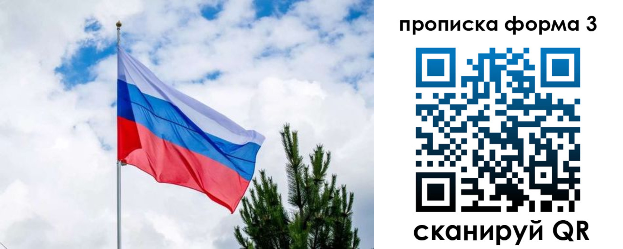 прописка для школы в Данкове
